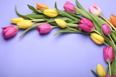 Photo of Beautiful tulips on violet background, flat lay. Space for text