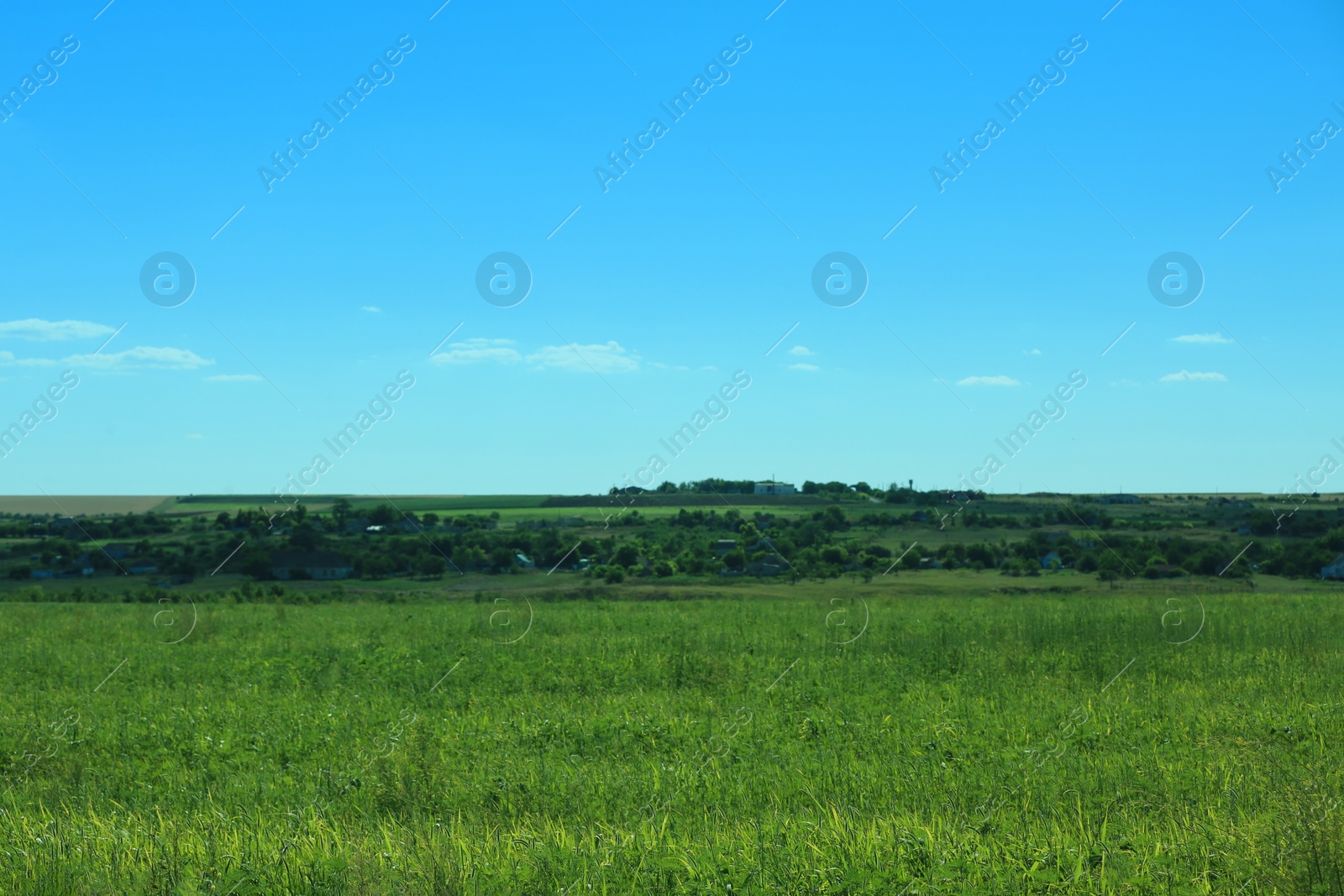 Photo of Beautiful landscape with green grass on sunny day