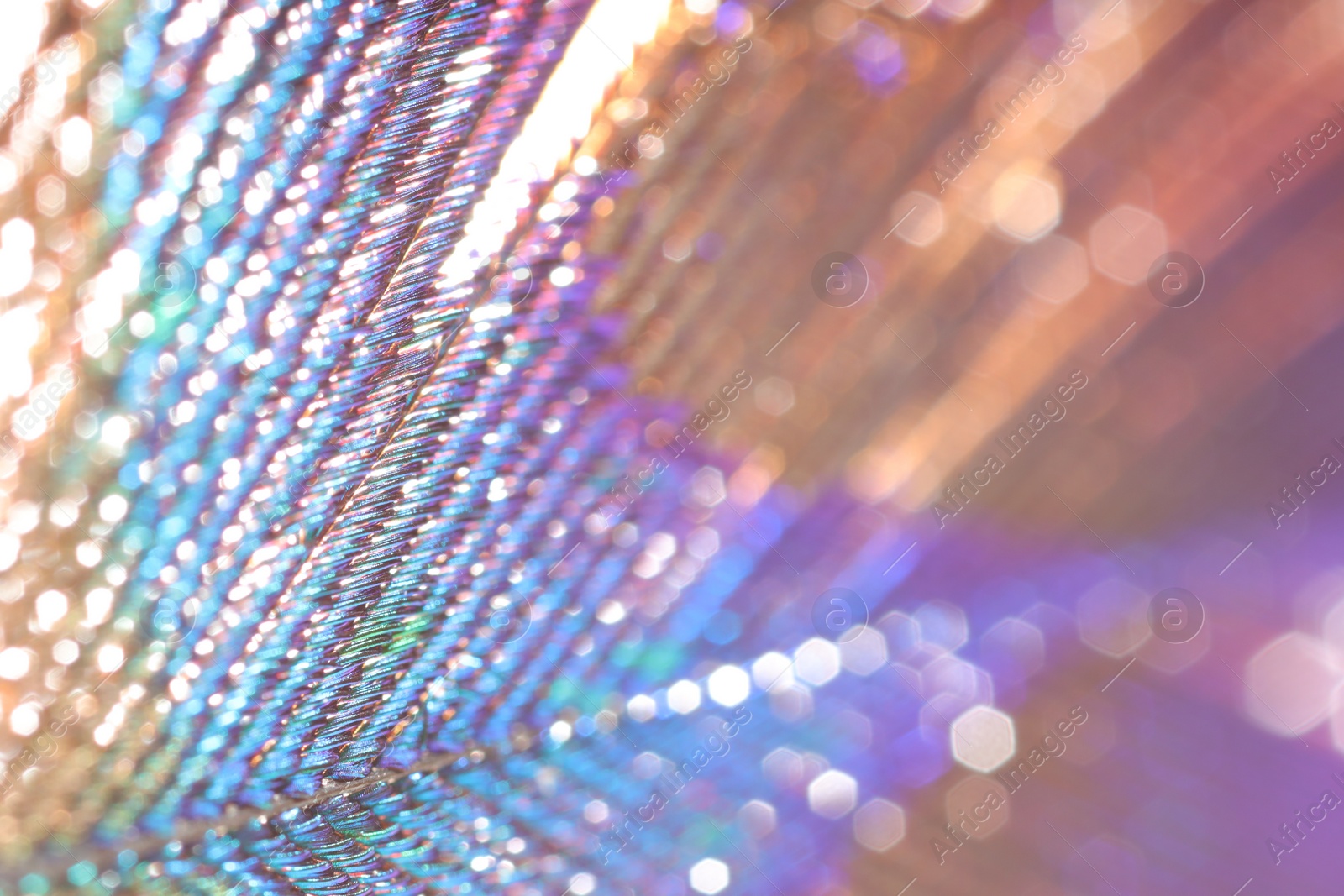 Photo of Texture of beautiful peacock feather as background, macro view