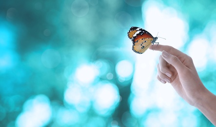 Woman holding beautiful plain tiger butterfly against blurred blue background, closeup. Bokeh effect
