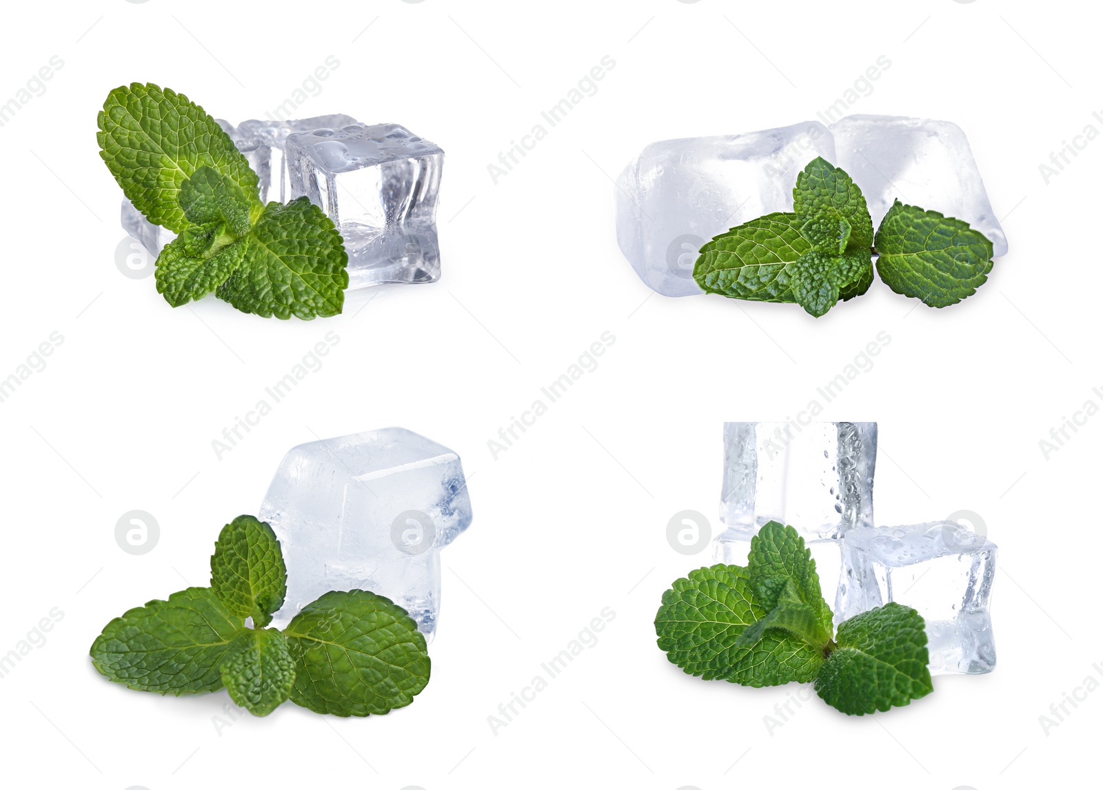 Image of Set of ice cubes and mint on white background