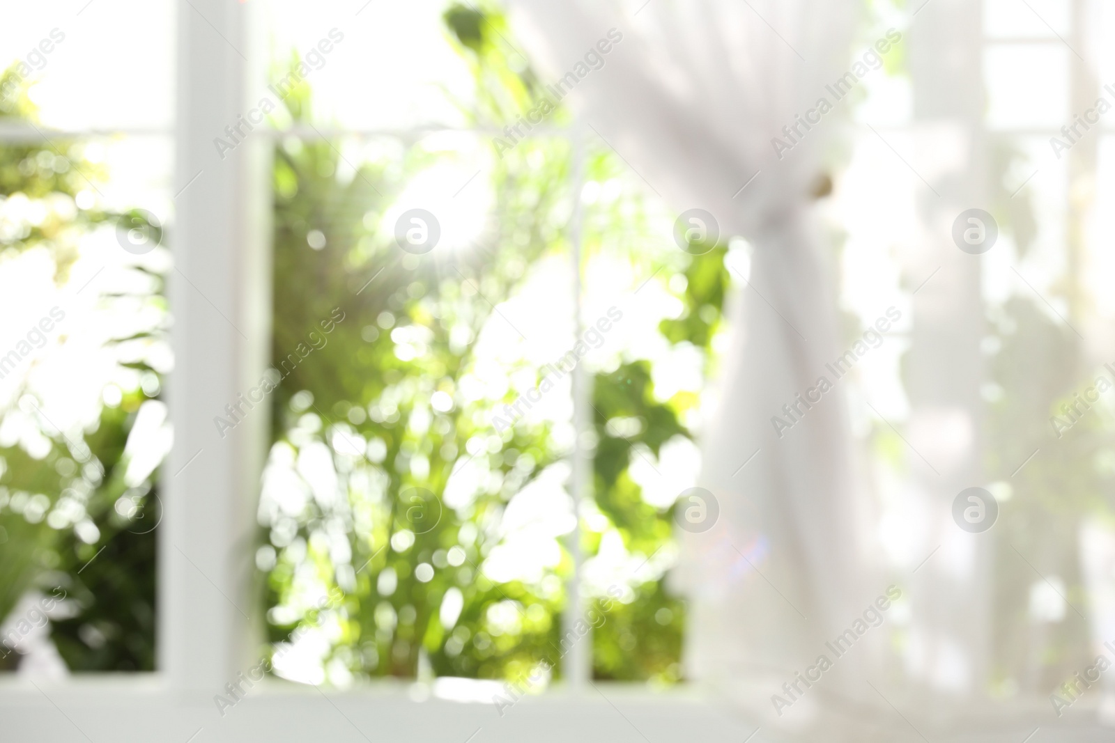 Photo of Blurred view through window on garden in morning