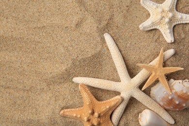 Beautiful starfishes and sea shells on sand, flat lay. Space for text