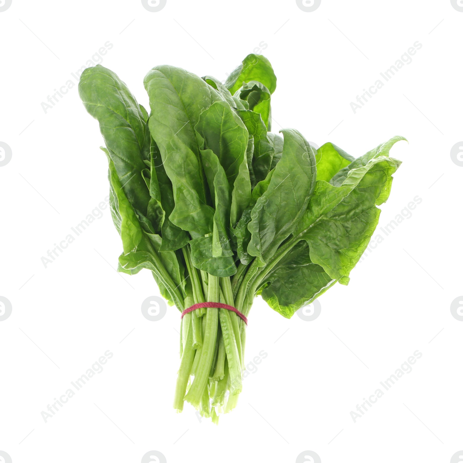 Photo of Bundle of fresh spinach isolated on white