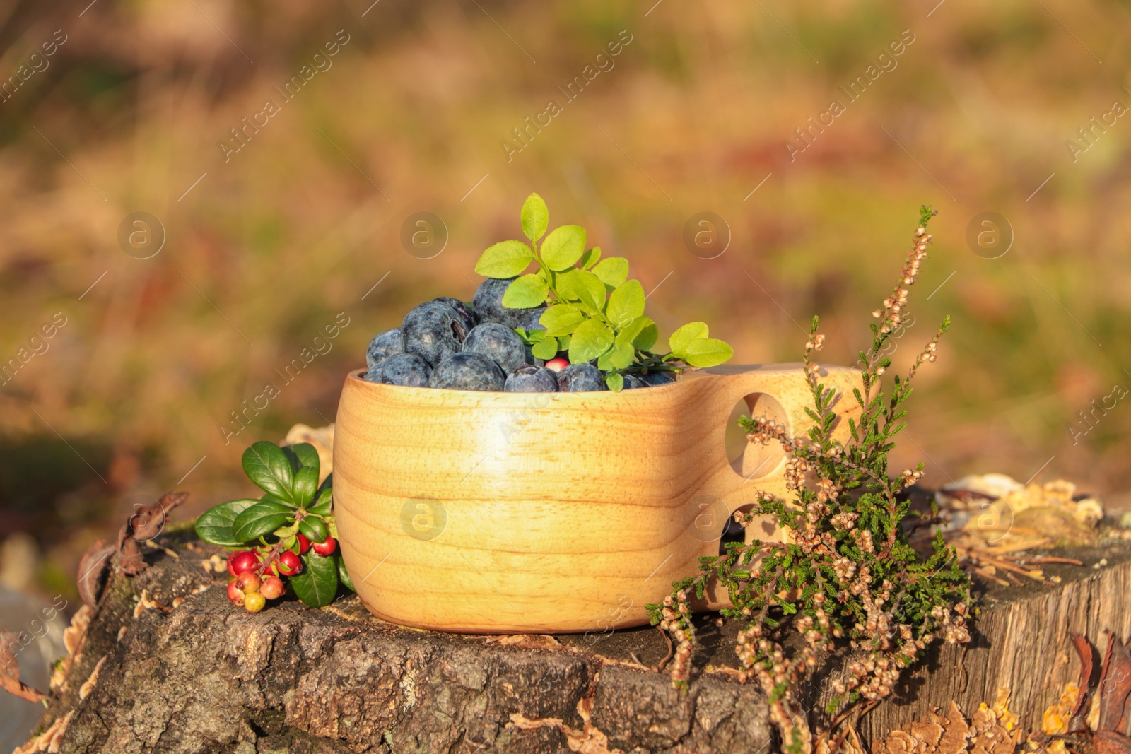 Photo of Wooden mug full of fresh ripe blueberries and lingonberries on stump outdoors