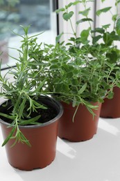 Photo of Different fresh potted herbs on windowsill indoors, closeup