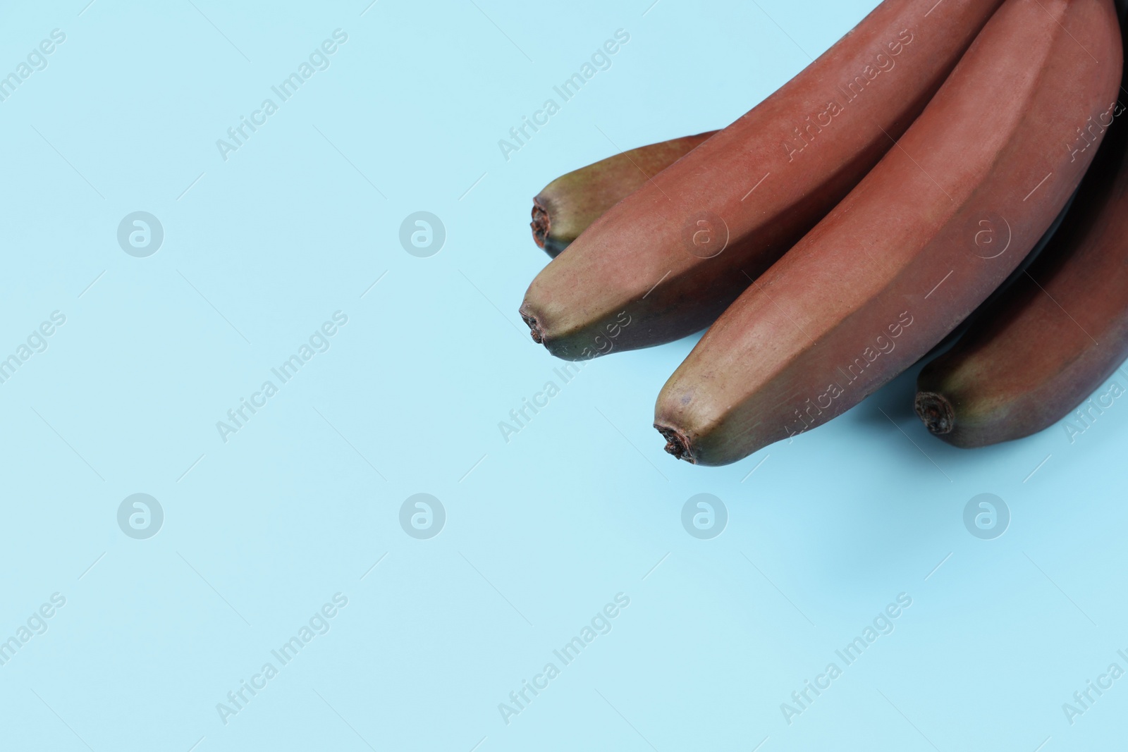 Photo of Tasty red baby bananas on light blue background, above view. Space for text