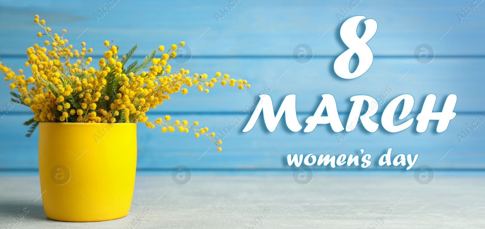 Image of International Women's Day. Bouquet of beautiful mimosa flowers on table, banner design