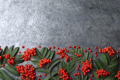 Photo of Fresh ripe rowan berries and green leaves on grey table, flat lay. Space for text