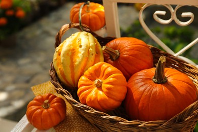 Photo of Wicker basket with whole ripe pumpkins outdoors on sunny day, closeup