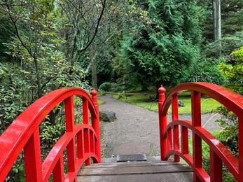 Photo of Beautiful bridge and different plants near pathway in Japanese garden