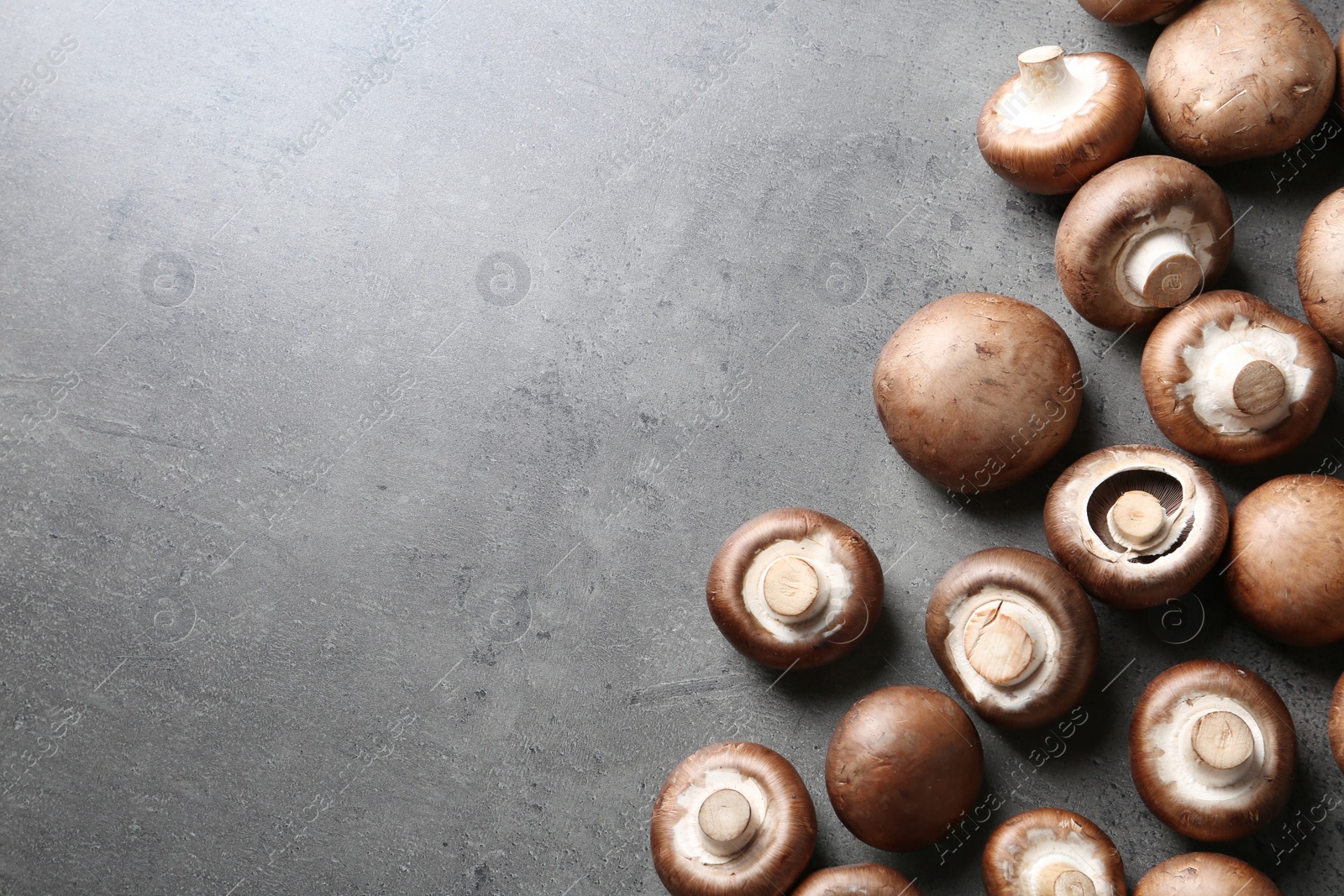 Photo of Fresh champignon mushrooms on grey background, top view with space for text