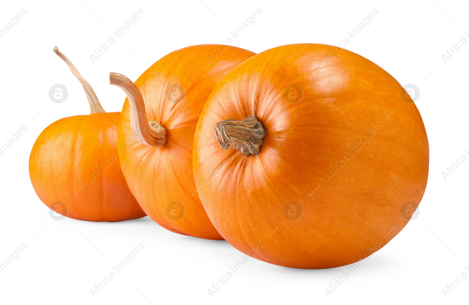 Photo of Many fresh orange pumpkins isolated on white