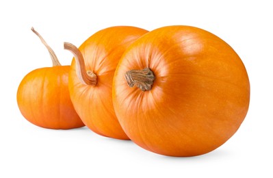 Many fresh orange pumpkins isolated on white