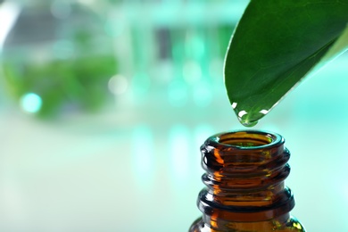 Photo of Clear drop falling from leaf into small bottle on blurred background, closeup with space for text. Plant chemistry