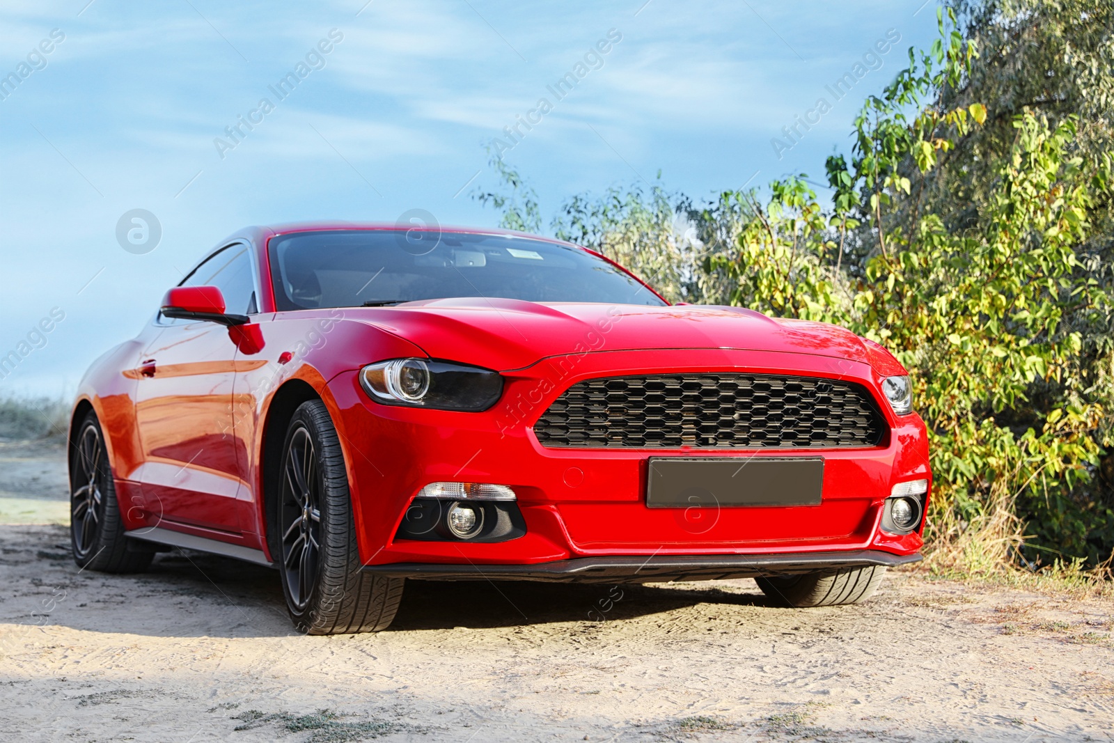 Photo of Modern luxury car outdoors on sunny day