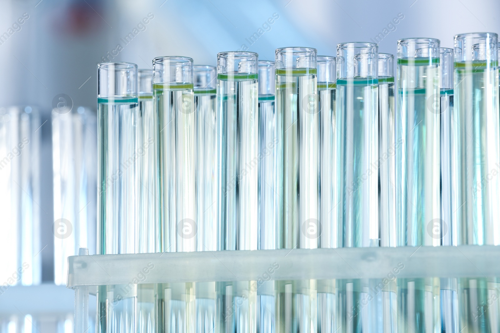 Photo of Test tubes with liquid samples for analysis in laboratory, closeup