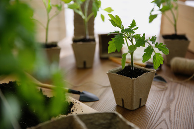 Photo of Soil, gardening trowel and green tomato seedling in peat pot on wooden table