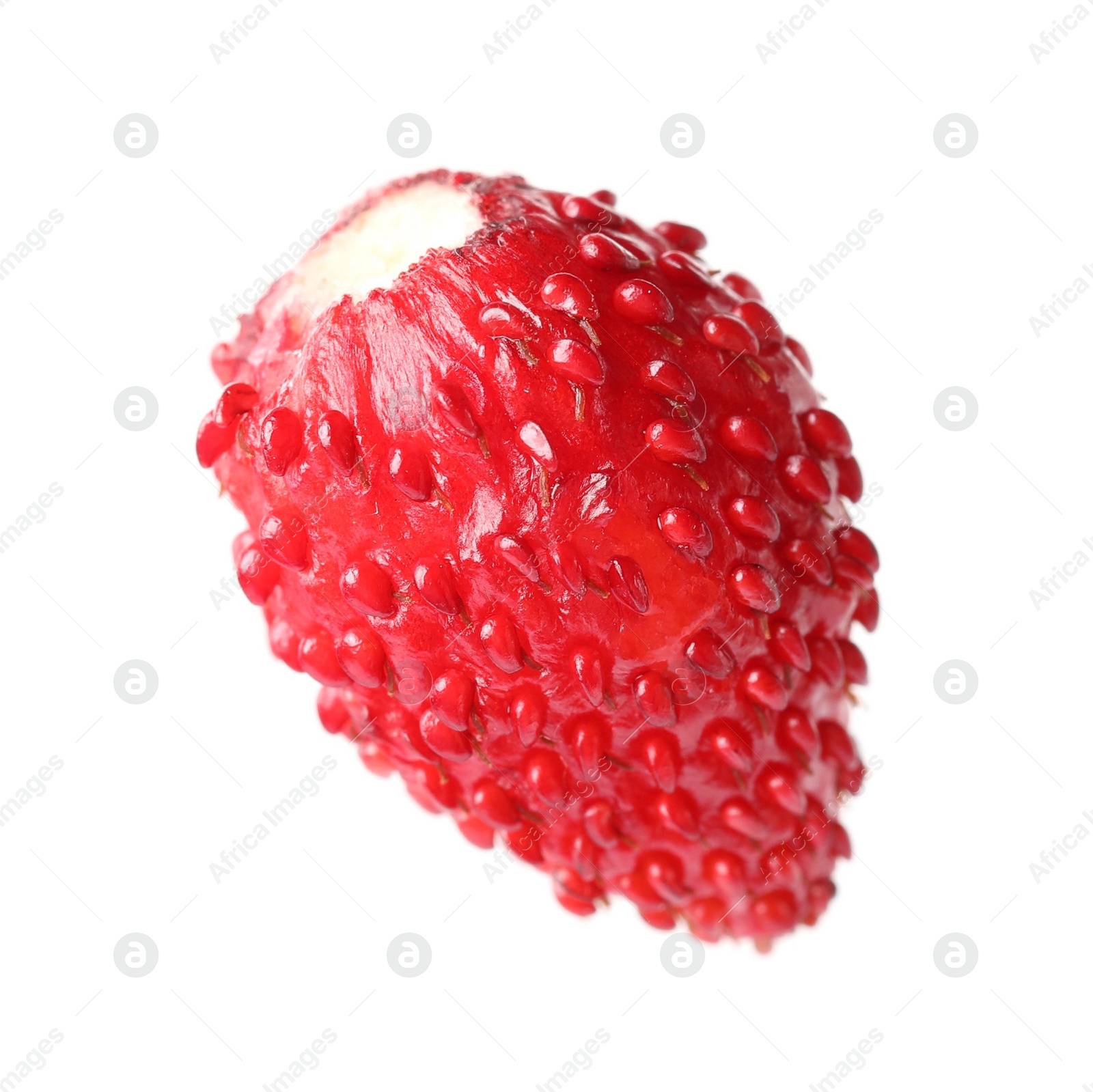 Photo of One ripe wild strawberry isolated on white