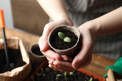 Photo of Woman holding pot with seedling indoors, closeup