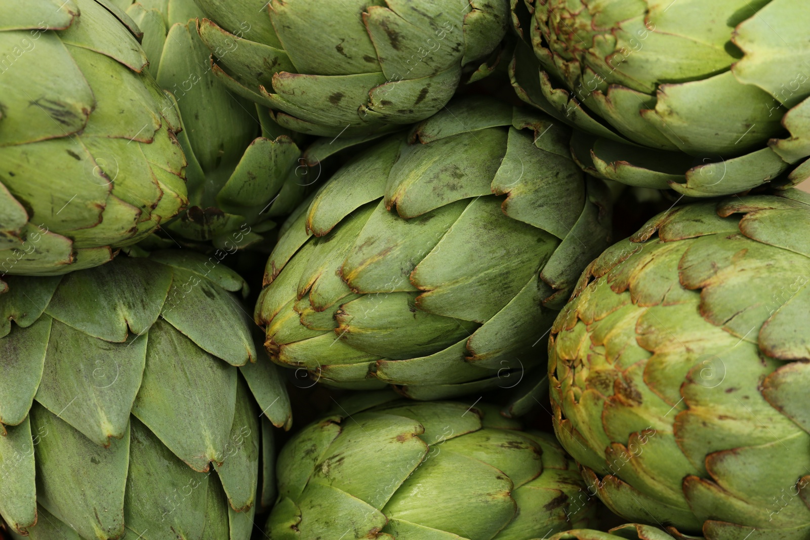 Photo of Many fresh raw artichokes as background, top view