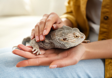 Photo of Young woman with bearded lizard at home, closeup. Exotic pet