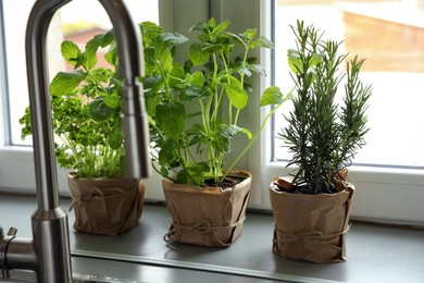 Different aromatic potted herbs on window sill near kitchen sink