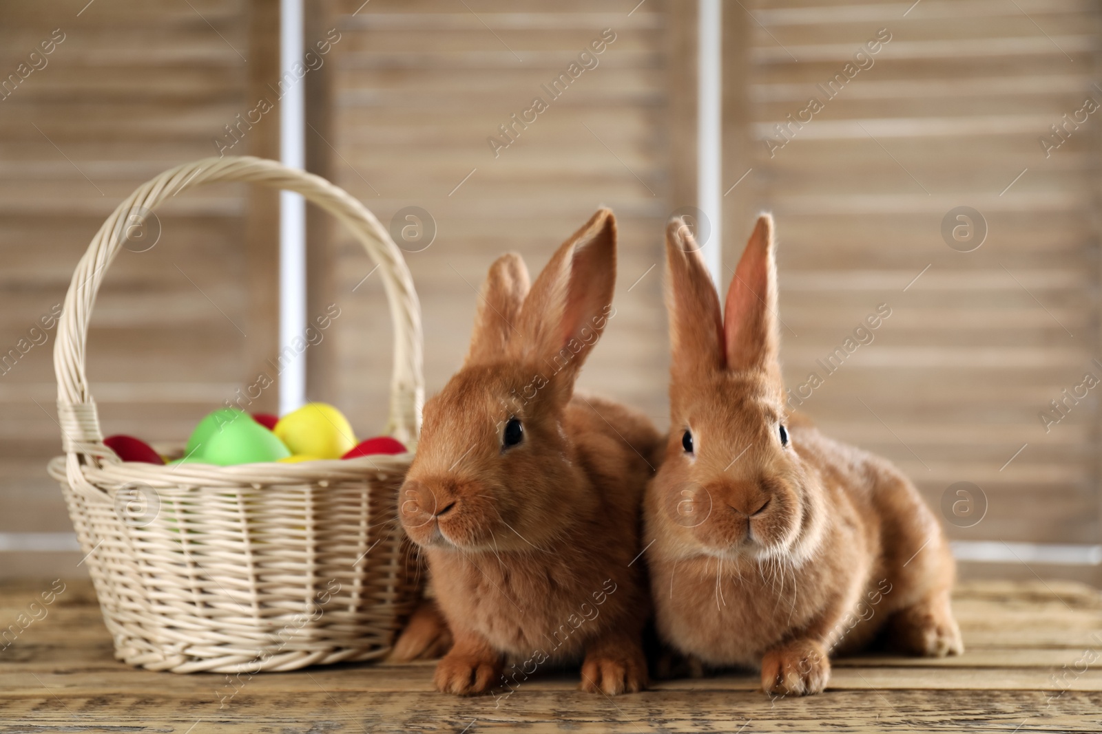 Photo of Cute bunnies and basket with Easter eggs on wooden table against blurred background