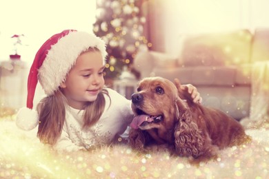 Cute little girl with English Cocker Spaniel in room decorated for Christmas. Magical festive atmosphere