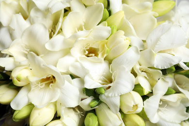 Photo of Beautiful aromatic freesia bouquet as background, closeup