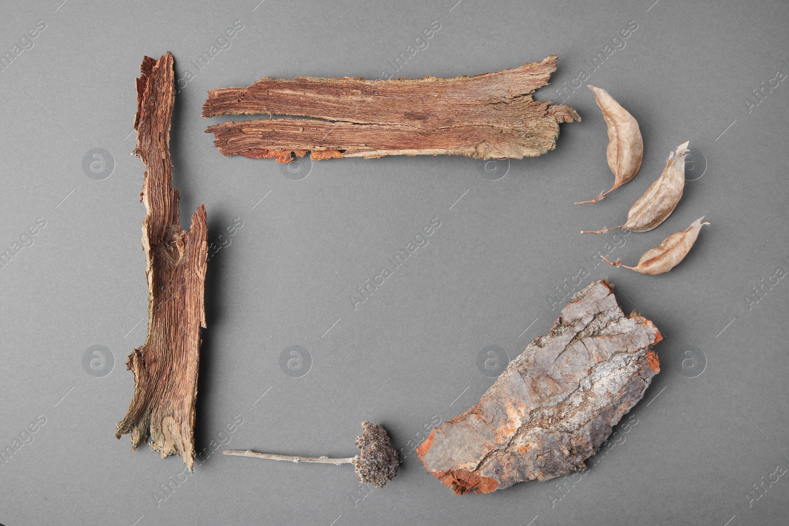 Photo of Frame made of tree bark pieces, dry twig and leaves on gray background, flat lay. Space for text