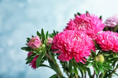 Beautiful aster flower bouquet on color background