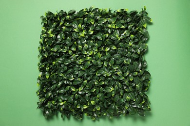 Photo of Green artificial plants on color background, top view