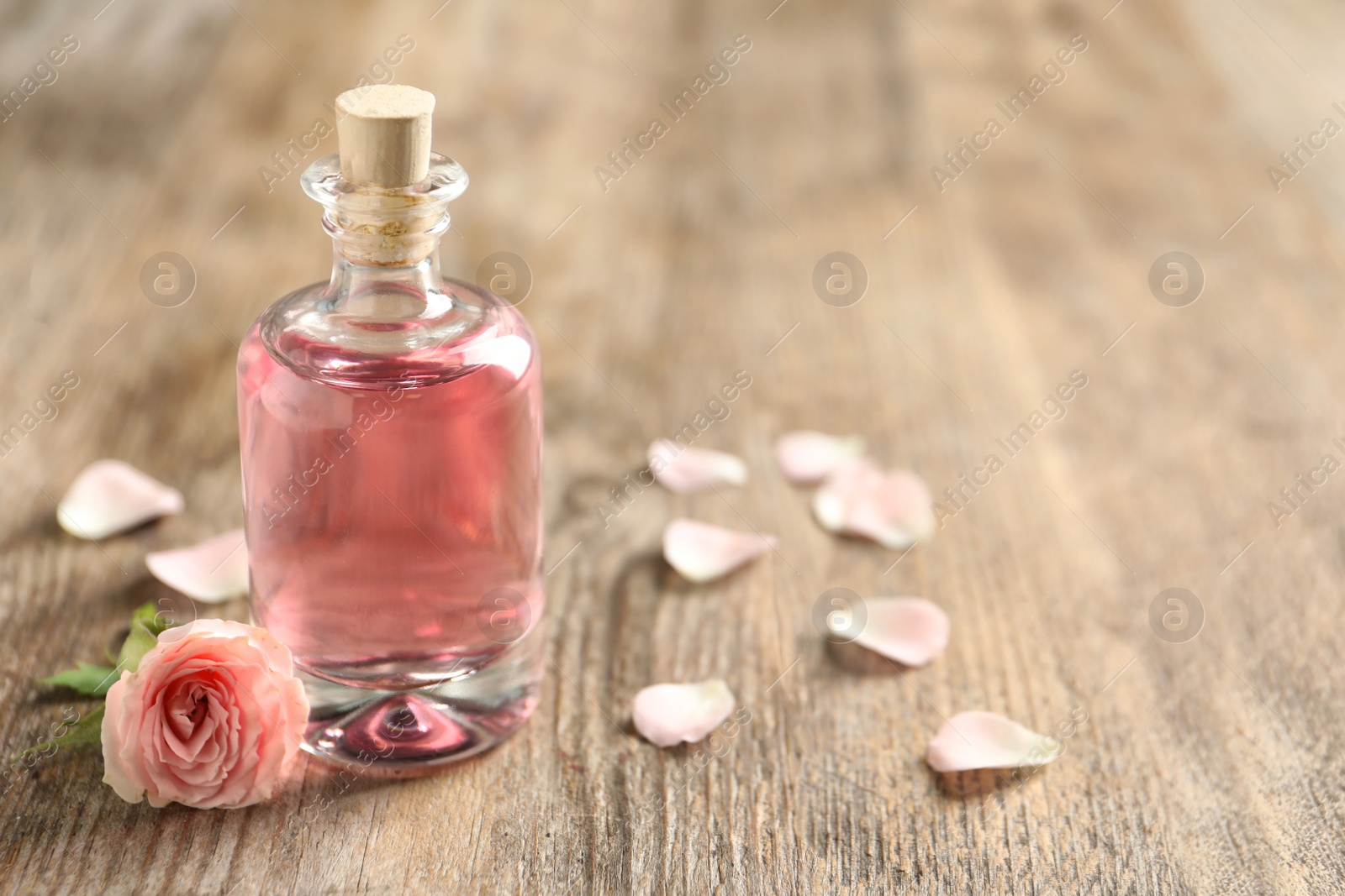 Photo of Bottle of rose essential oil and flower on wooden table, space for text