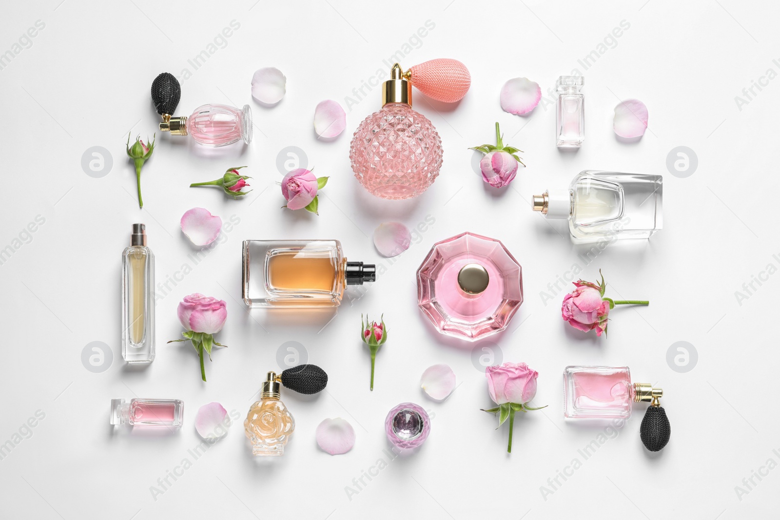 Photo of Different perfume bottles and flowers on white background, top view