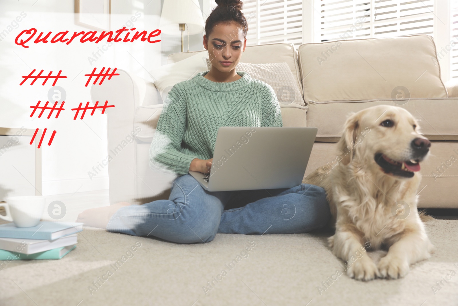 Image of Woman using laptop near dog at home. Quarantine during coronavirus outbreak