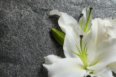 Image of Beautiful lily flowers on grey stone background. Space for text