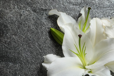 Beautiful lily flowers on grey stone background. Space for text