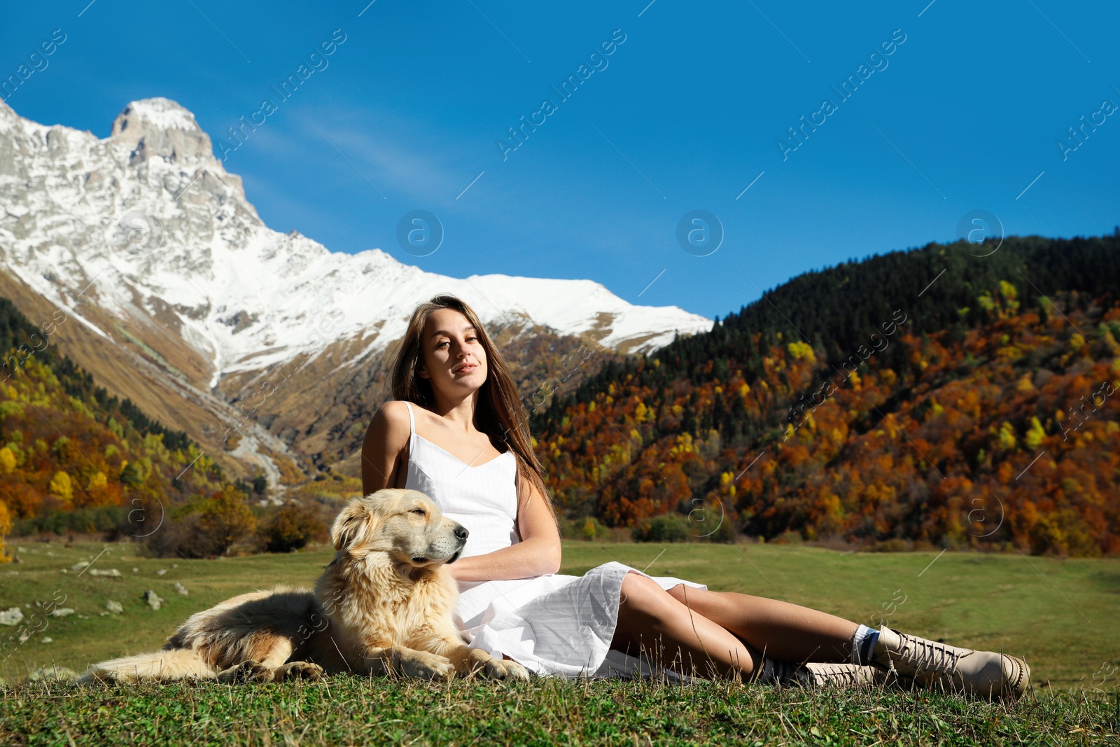 Photo of Beautiful young woman with adorable dog in mountains on sunny day