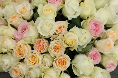 Photo of Many beautiful roses as background, top view