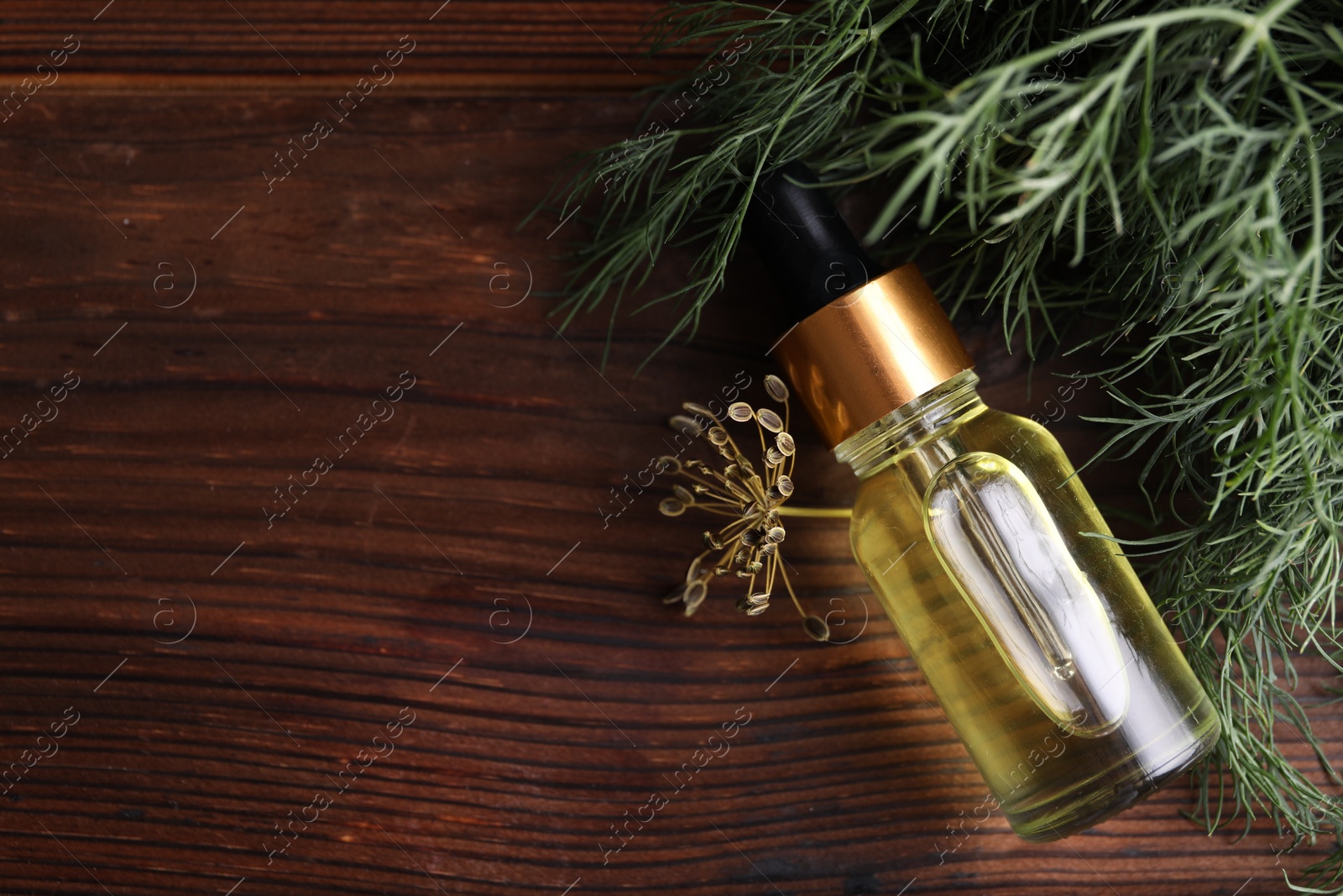 Photo of Bottle of essential oil and fresh dill on wooden table, flat lay. Space for text