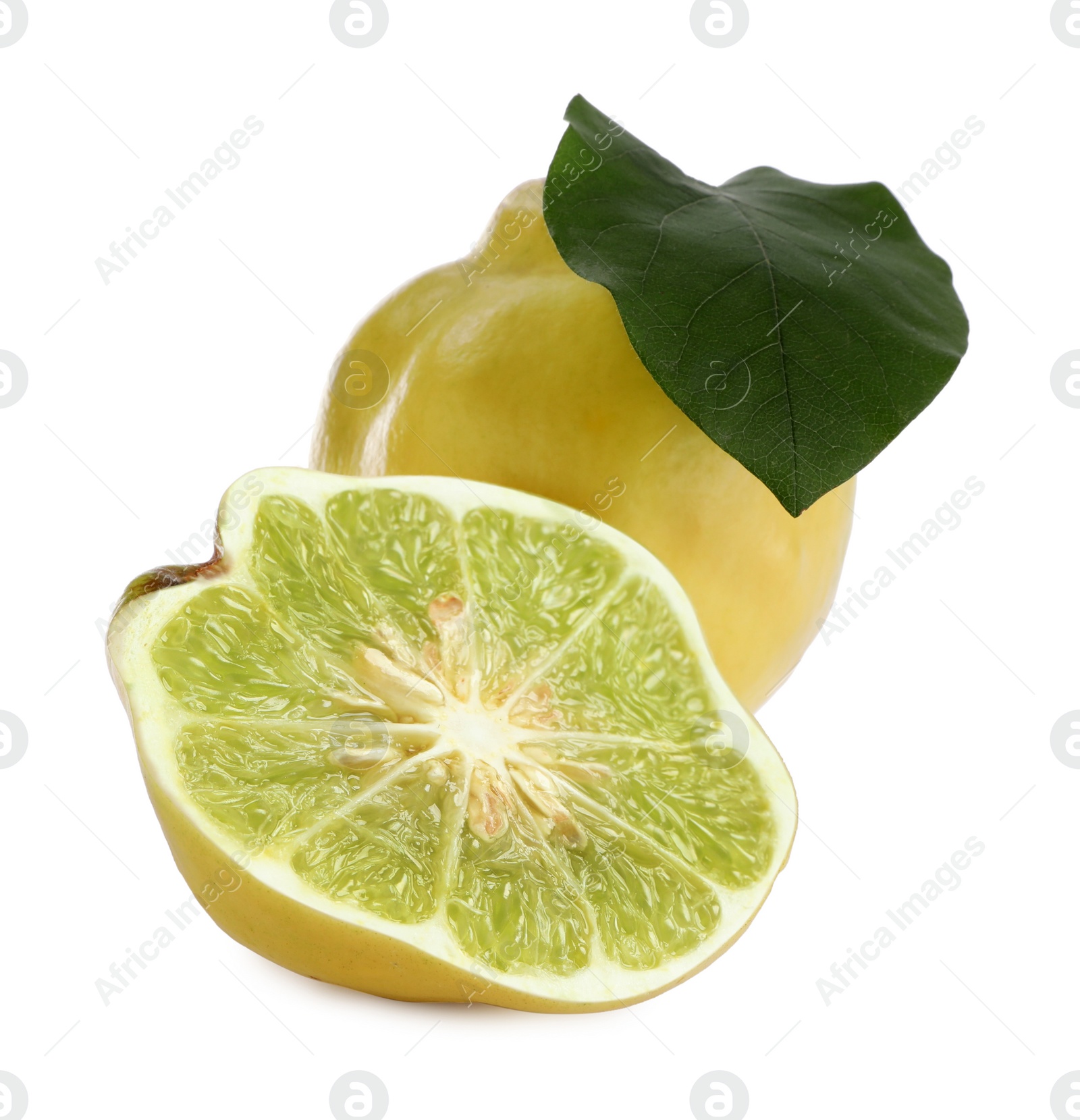 Image of Genetically modified quinces with lime on white background