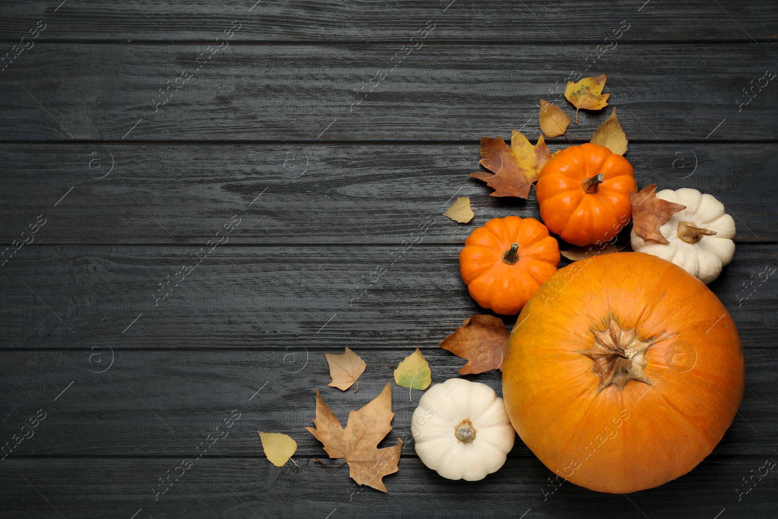 Photo of Fresh ripe pumpkins and autumn leaves on black wooden table, flat lay. Space for text