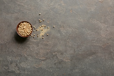 Bowl with white peppercorns on gray background, top view. Space for text