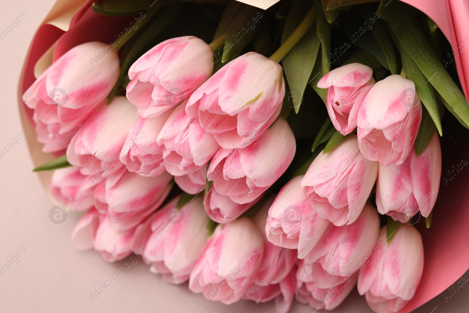 Photo of Beautiful bouquet of fresh pink tulips on light background, closeup