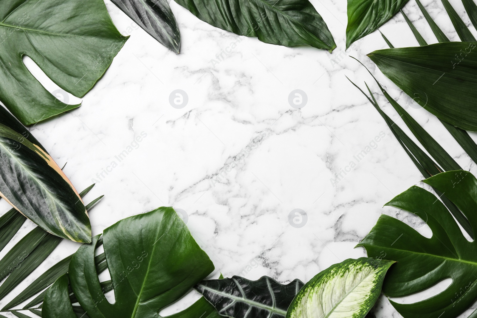 Photo of Flat lay composition with tropical leaves and space for text on marble background