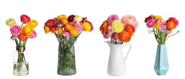 Image of Collage of stylish vases with beautiful ranunculus bouquets on white background