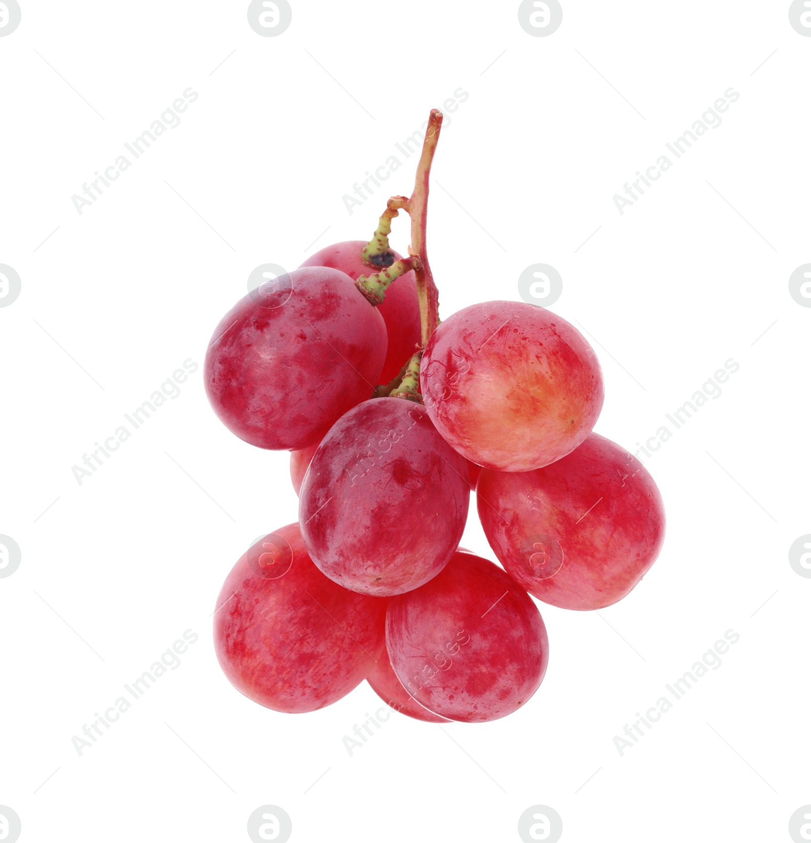 Photo of Tasty ripe red grapes isolated on white