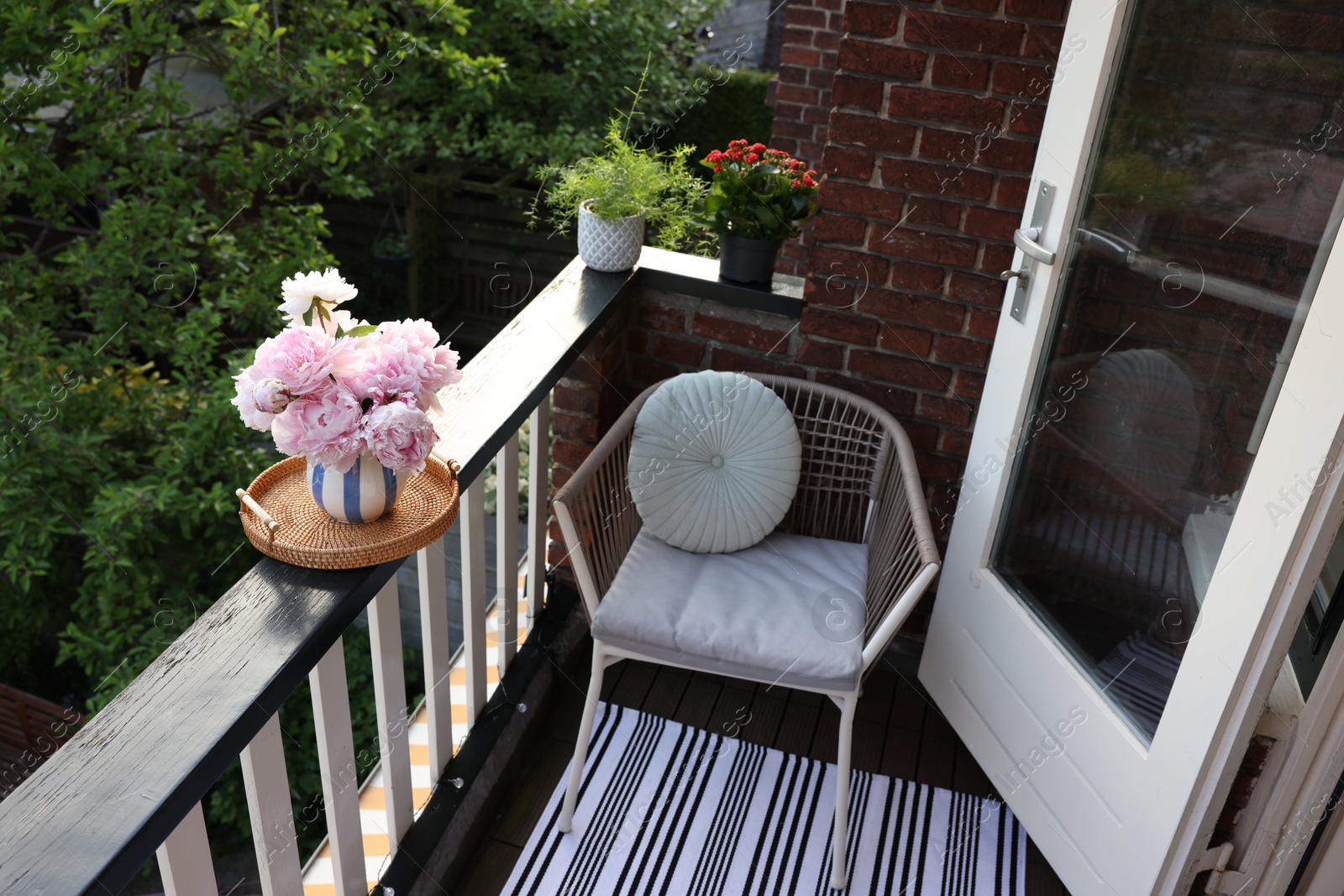 Photo of Balcony garden. Different plants growing on railings outdoors