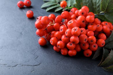 Photo of Fresh ripe rowan berries and leaves on black table, closeup. Space for text